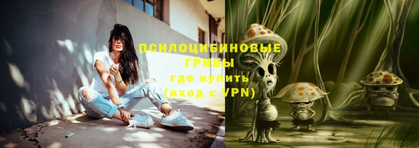 гашик Абинск