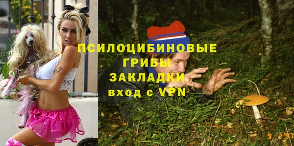 гашик Абинск