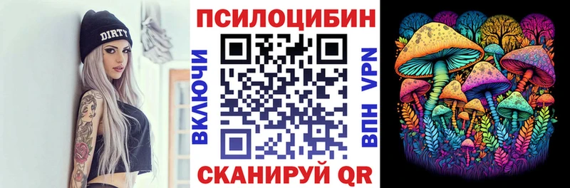 Псилоцибиновые грибы Psilocybe  где найти наркотики  MEGA зеркало  Волгоград 